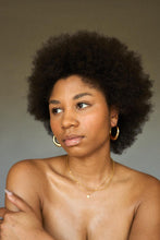 Load image into Gallery viewer, Ari Hoops