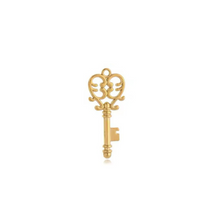 Load image into Gallery viewer, Trendy Charms
