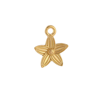 Trendy Charms