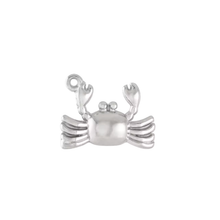 Load image into Gallery viewer, Silver Fun Charm
