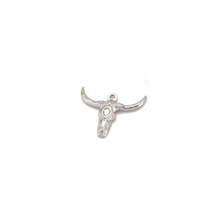Load image into Gallery viewer, Silver Fun Charm
