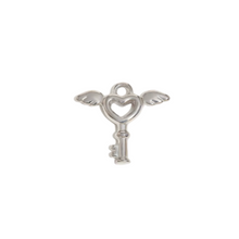 Load image into Gallery viewer, Silver Charms
