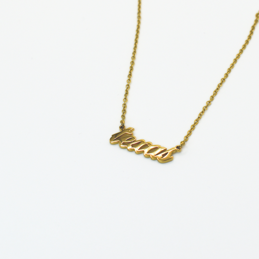 texas Signature Necklace