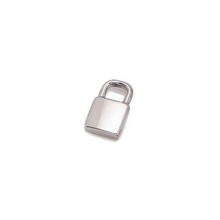 Load image into Gallery viewer, Silver Charms
