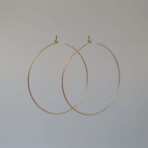 Allure Sparkly Hoops