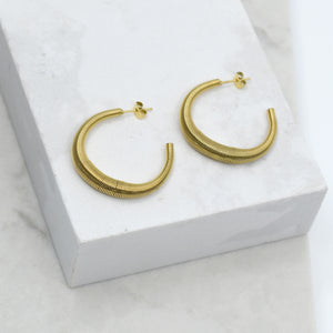 Chi Wired Hoops