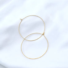 Load image into Gallery viewer, Allure Sparkly Hoops
