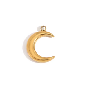 Moon & Star Charm