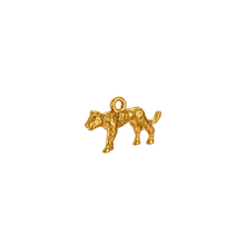 Load image into Gallery viewer, Pet Charm
