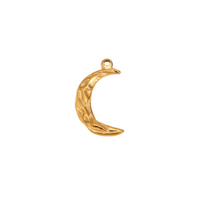 Moon & Star Charm