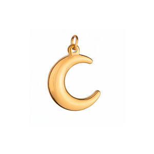 Sun & Moon Charm