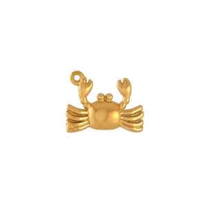 Pet Charm