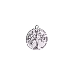 Silver Trendy Charm
