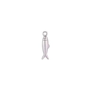 Silver Trendy Charm