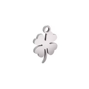 Silver Trendy Charms